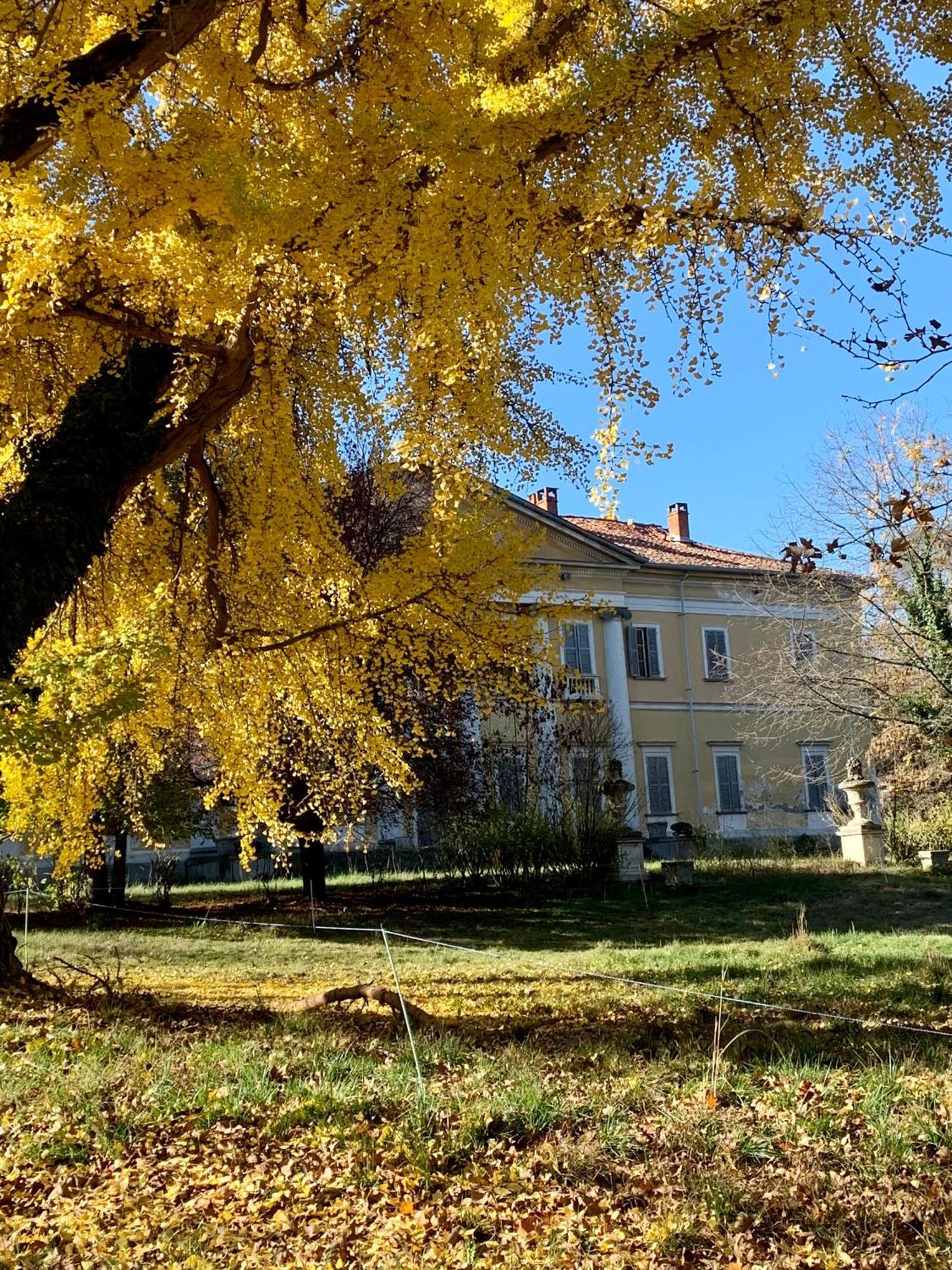 Dimore-granaio Nr 5-garden-welcome Box -free Parking And Pool Asti